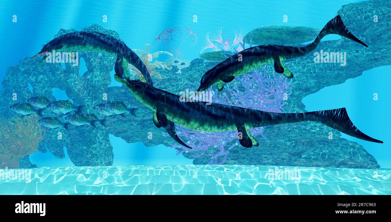 Cymbospondylus war ein fleischfressendes Meeresreptil, das während der Triassic-Zeit in den Meeren Europas und der Vereinigten Staaten lebte. Stockfoto