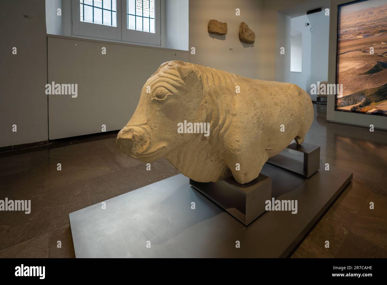 Iberische Stierkultur im Archäologischen Museum von Granada - Granada, Andalusien, Spanien Stockfoto