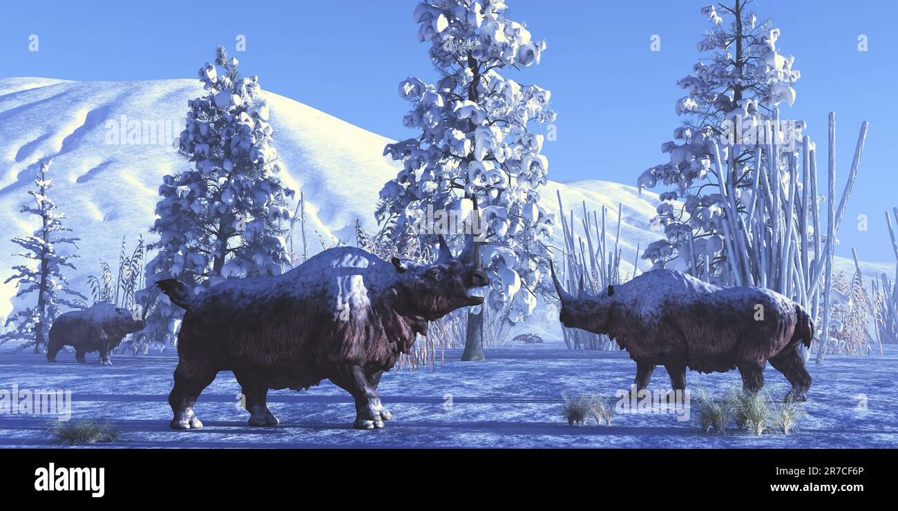 Wollige Rhino Männchen halten sich gegenseitig in einem verschneiten Winter im Pleistozän Zeitraum Unternehmen. Stockfoto