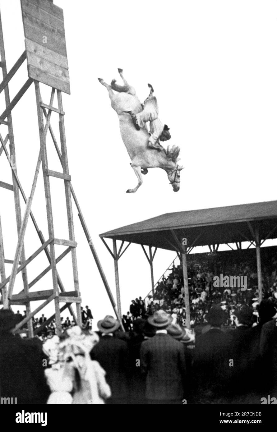 Pueblo, Colorado: 4. Juli 1905. Eunice Padfield und ihr Pferd begeistern die Urlaubsfreunde, wenn sie von einer hohen Plattform in einen Pool mit Wasser darunter springen. Stockfoto