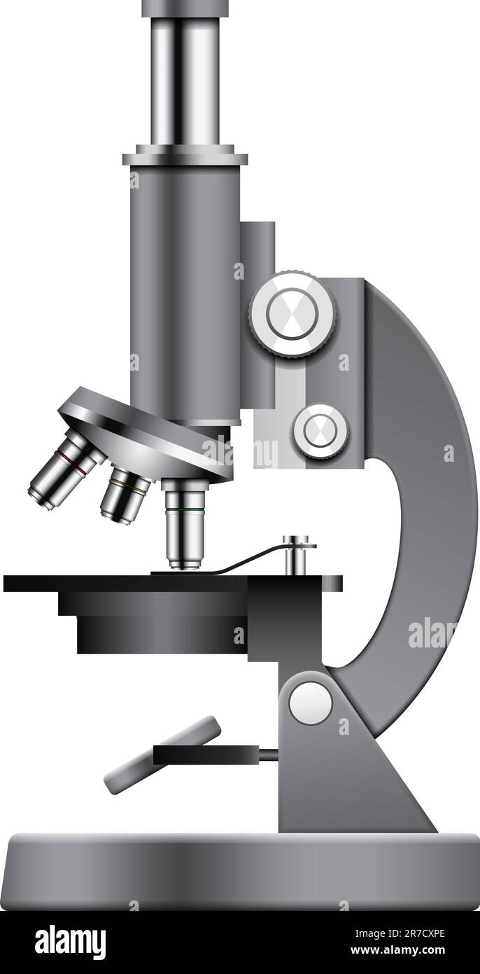 Geschichtete Vektordarstellung des Mikroskops. Stock Vektor