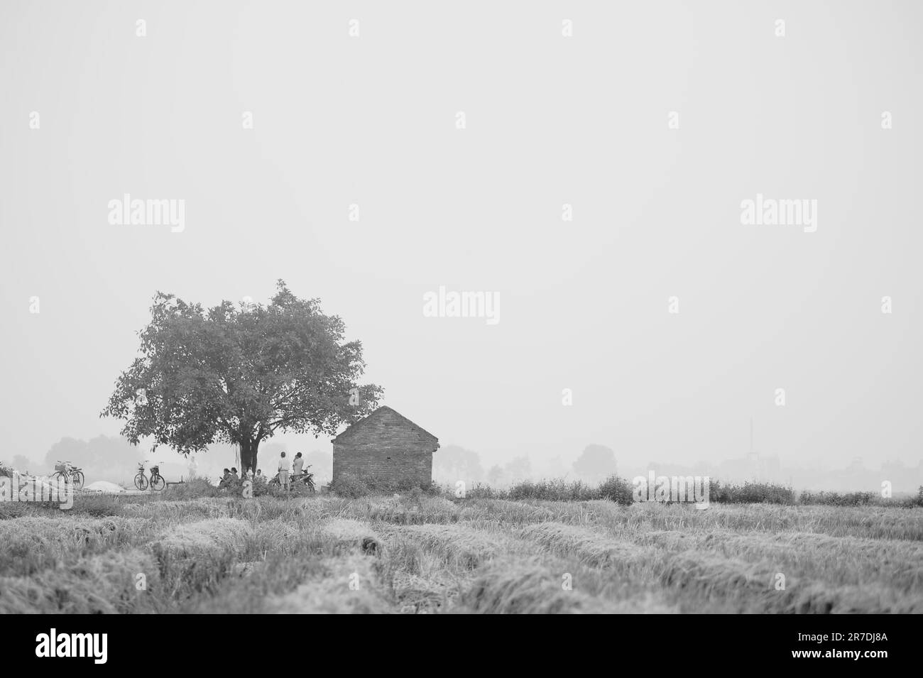 Schwarz-weiße Landschaft Stockfoto