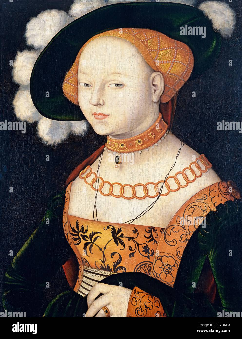 Hans Baldung Grien, Porträt einer Lady, Ölgemälde auf Platte, um 1530 Stockfoto