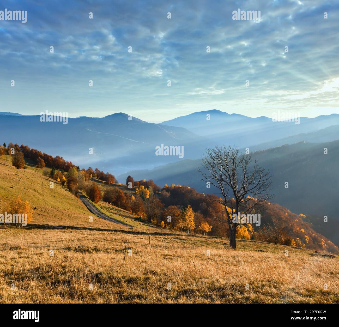 Landstraße, bunte Bäume im Herbst Berghang und Sonnenstrahlen drüber. Stockfoto