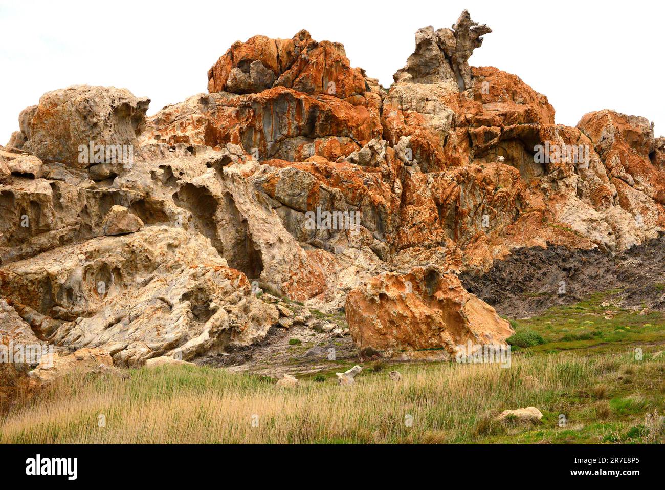 Pegmatite ist ein intrusives igneöses Gestein, das hauptsächlich aus Quarz, Feldspat und Glimmer besteht. Diese Formation ist aus Paratge Tudela, Cape Creus Natural Park, G. Stockfoto