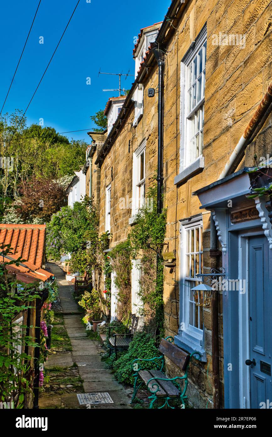 Sunnyside, Robin Hood's Bay Stockfoto