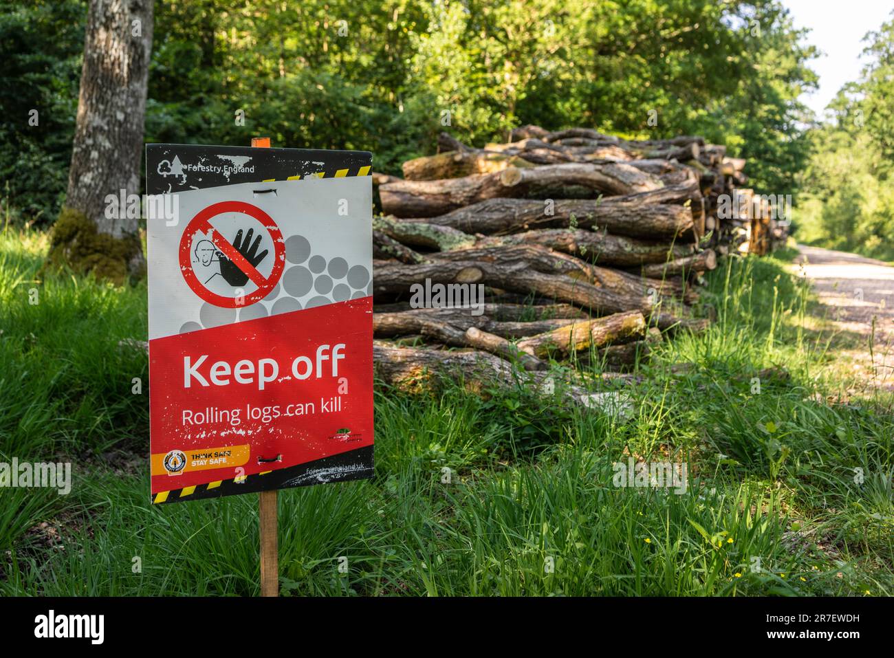 Warnschild „Keep off Rolling logs can kill“ im New Forest National Park, Hampshire, England, Großbritannien Stockfoto