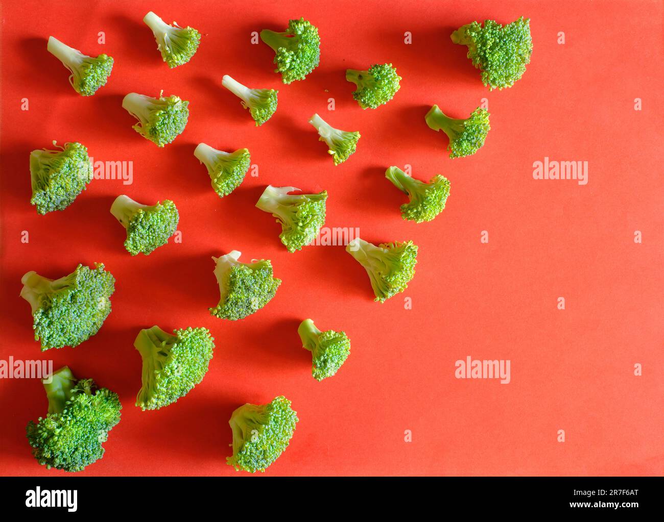 Flache Brokkoli, gesundes Essen, Essen, Gemüsekonzept, freier Kopierraum, Negativraumtechnik Stockfoto