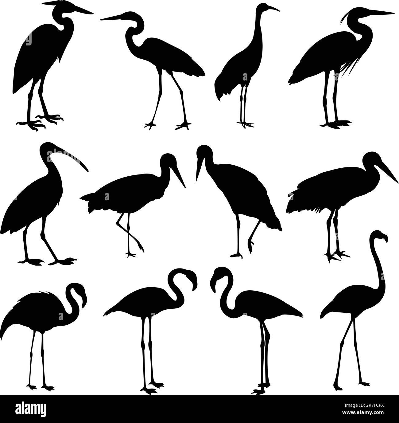 Störche, Kräne und Flamingos Silhouetten - Vektor Stock Vektor