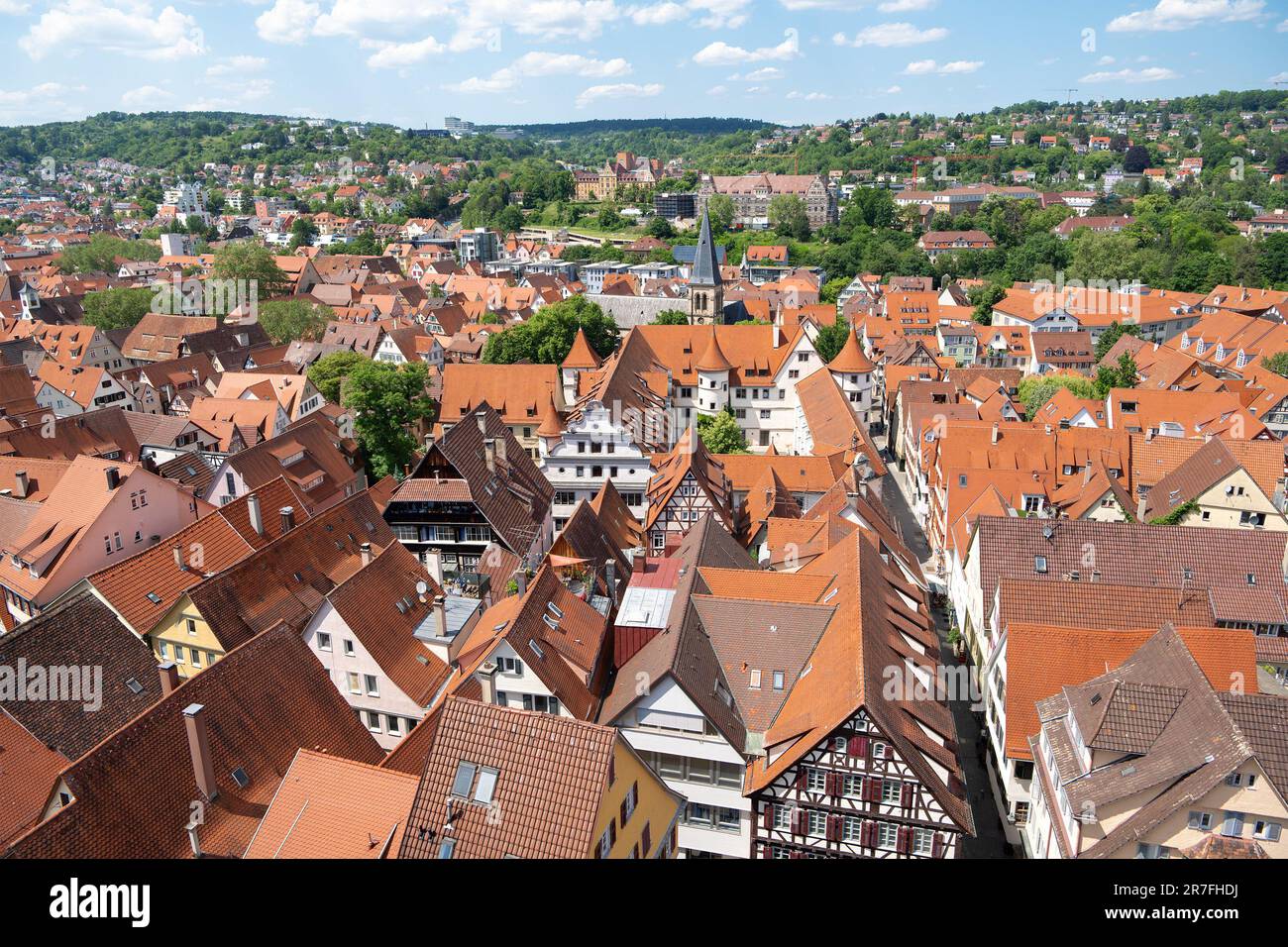 Dächer der Altstadt in Tübingen. Stockfoto