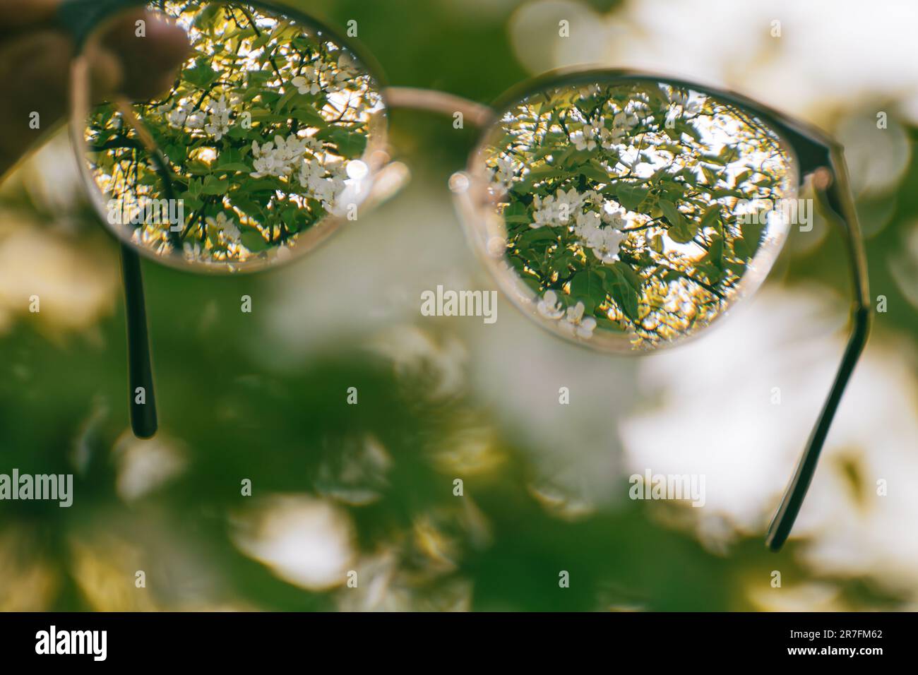 Blick durch kurzsichtige Brillen auf blühende Frühlingsbäume im Fokus mit verschwommenem Hintergrund. Kurzsichtige Refraktionslinsen übertreffen Stockfoto