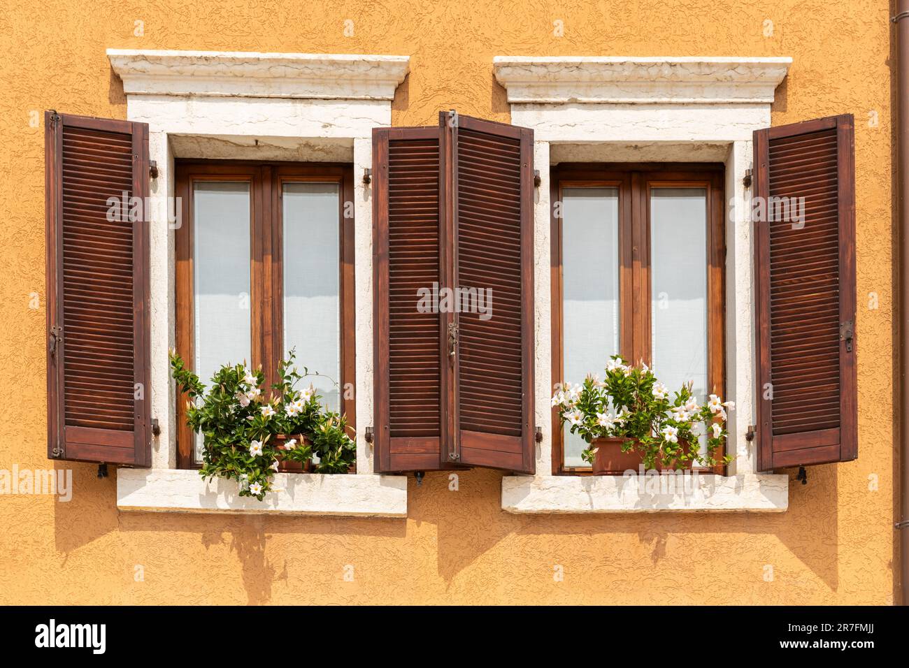 Nahaufnahme von 2 hübschen Fenstern mit Holzläden und Blumen in einem Gebäude mit goldgelben Wänden, Bardolino, Gardasee, Italien, Europa Stockfoto