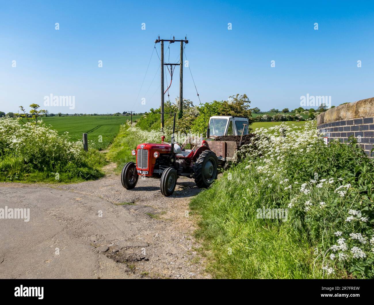 Wiederhergestellter Massey Ferguson 35-Traktor im Feld-Gateway, bereit zum Ziehen eines Anhängers, Cherry Willingham, Lincolnshire, England, Großbritannien Stockfoto