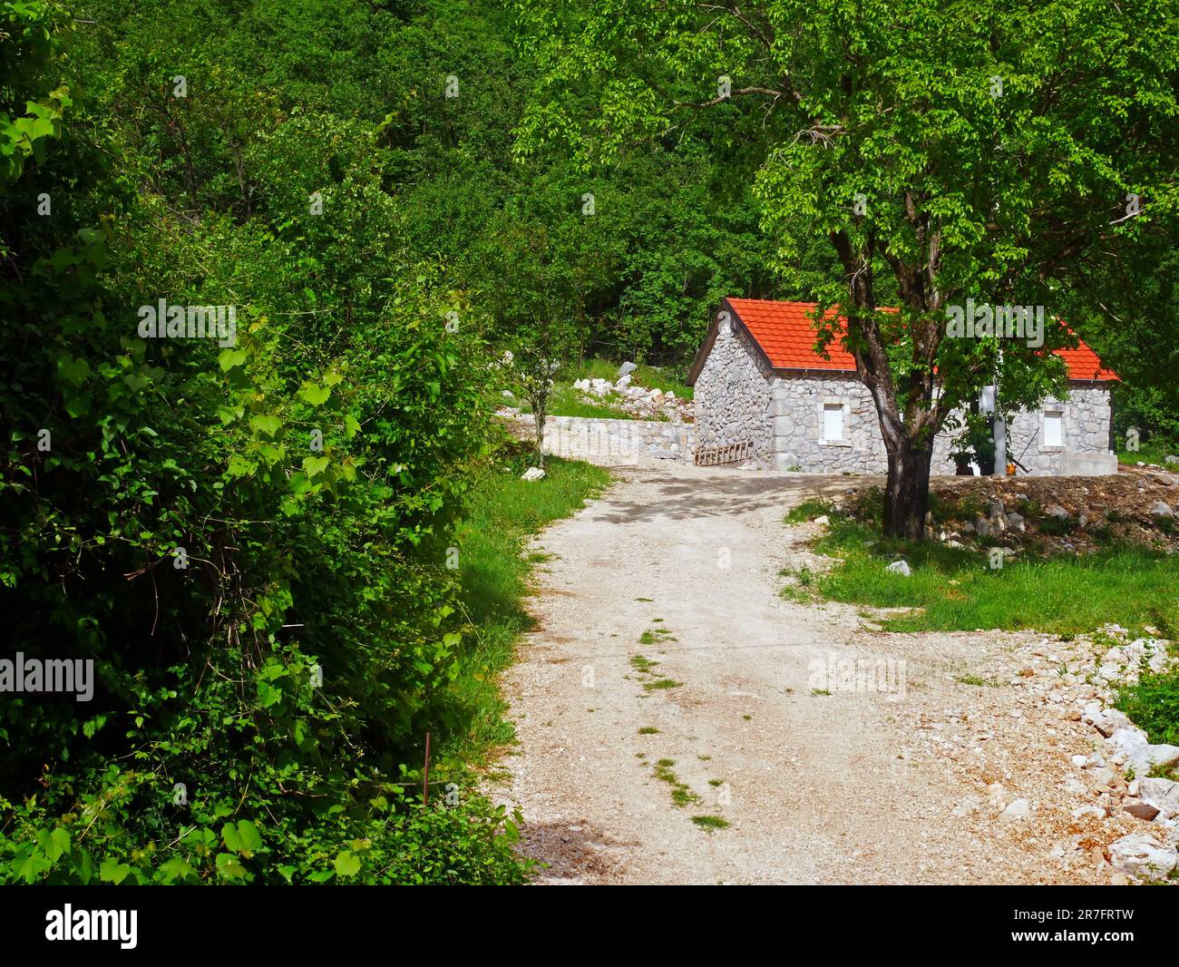 Montenegro, auf dem Land bei Kolasin Stockfoto