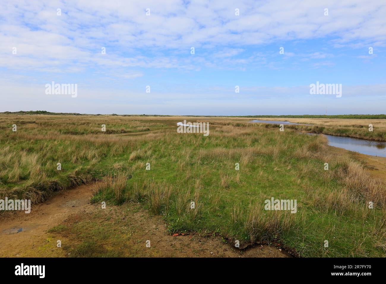 Blick über den Naturpark Salzmarschen auf der Insel Borkum Stockfoto