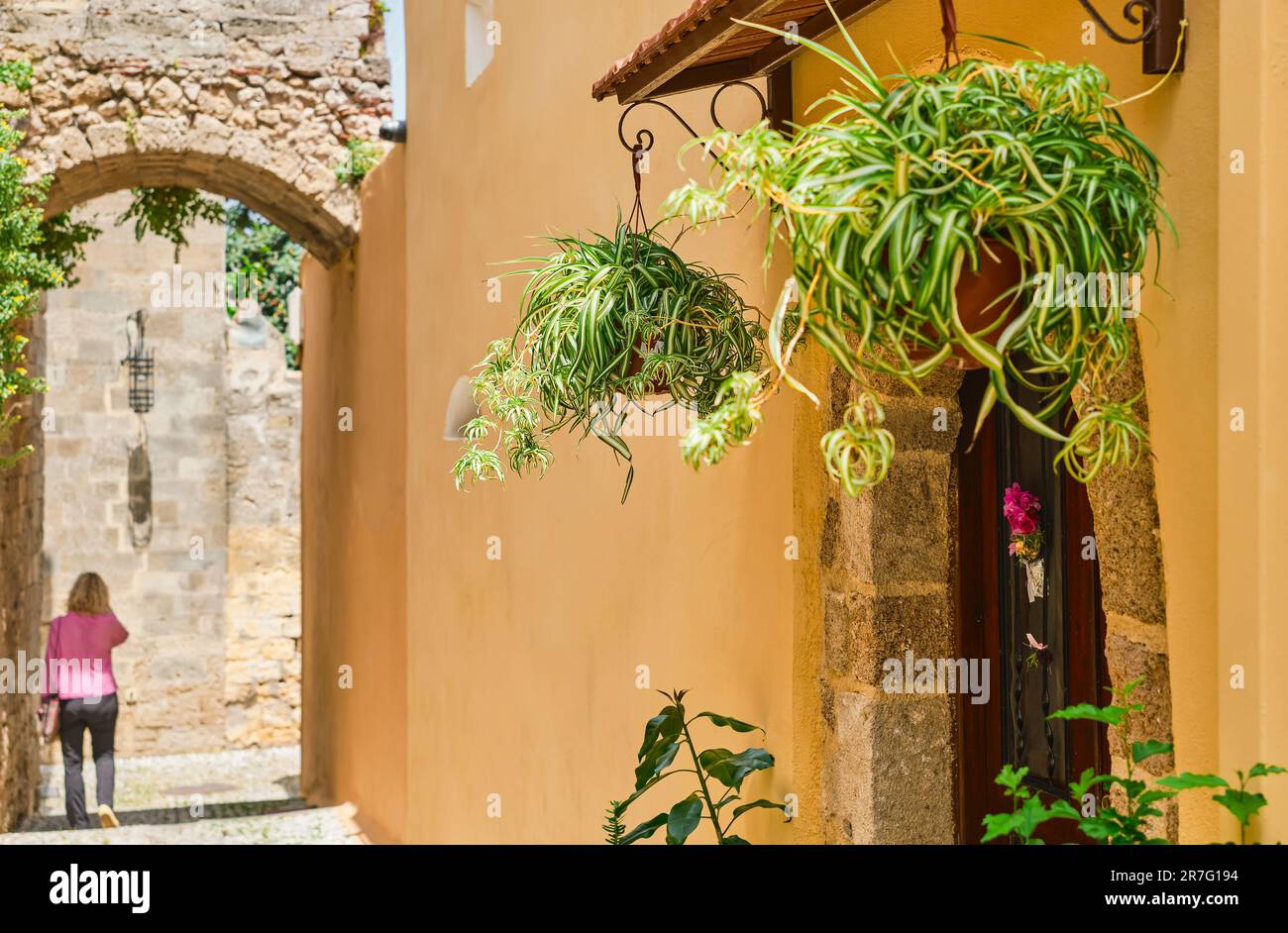 Straßen der mittelalterlichen Stadt Rhodos, selektiver Fokus auf die Blumen am Eingang des Hauses, eine Reise durch die beliebten Orte des Dodecs Stockfoto