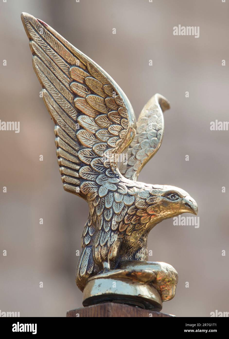 Der Adler, das Emblem der römischen Legionen. Selektiver Fokus Stockfoto