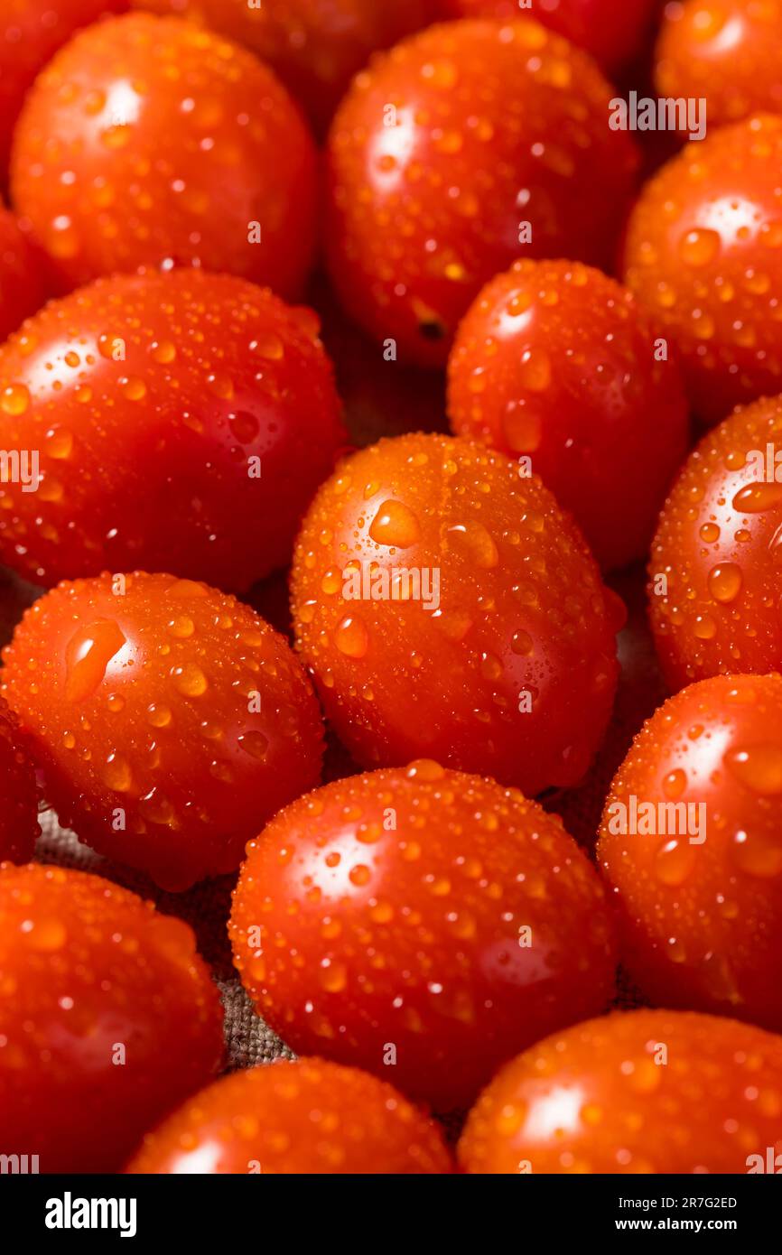 Rote rohe Bio-Kirschtomaten, verzehrfertig Stockfoto