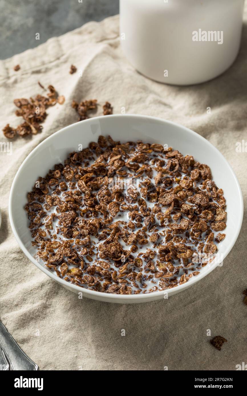 Gesundes Süßschokolade Kakao Frühstückscerealien mit Vollmilch Stockfoto