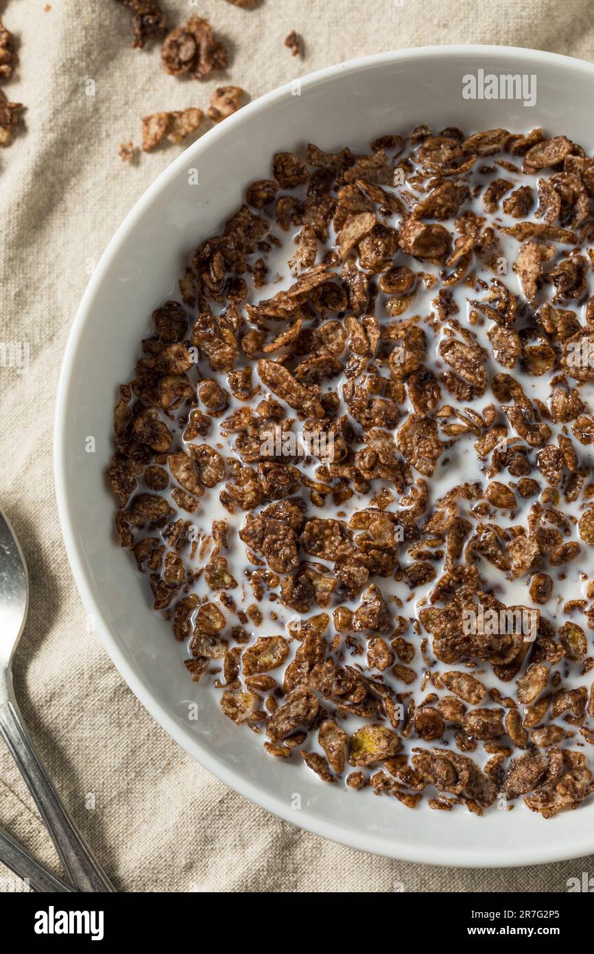 Gesundes Süßschokolade Kakao Frühstückscerealien mit Vollmilch Stockfoto
