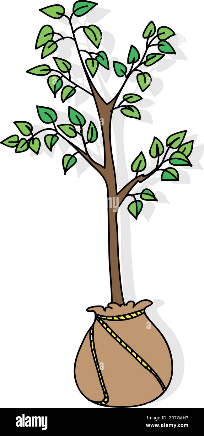 Sämling Stock Vektor