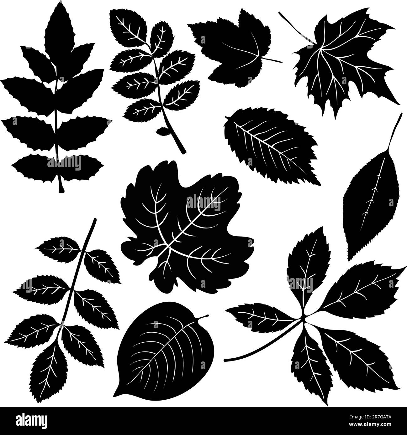 Blätter Stock Vektor