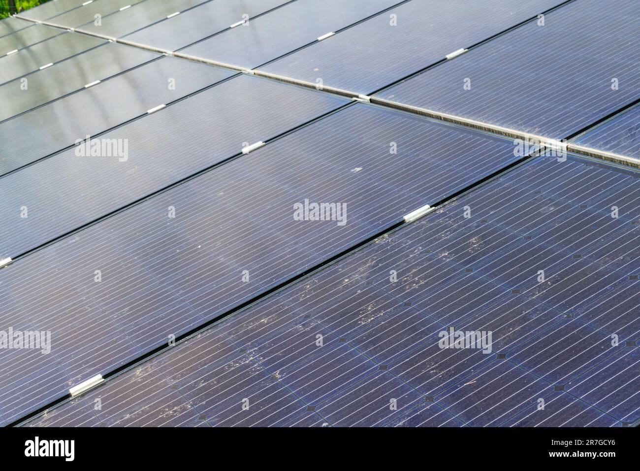 Nahaufnahme der im Garten auf dem Boden installierten Solarpaneele Stockfoto