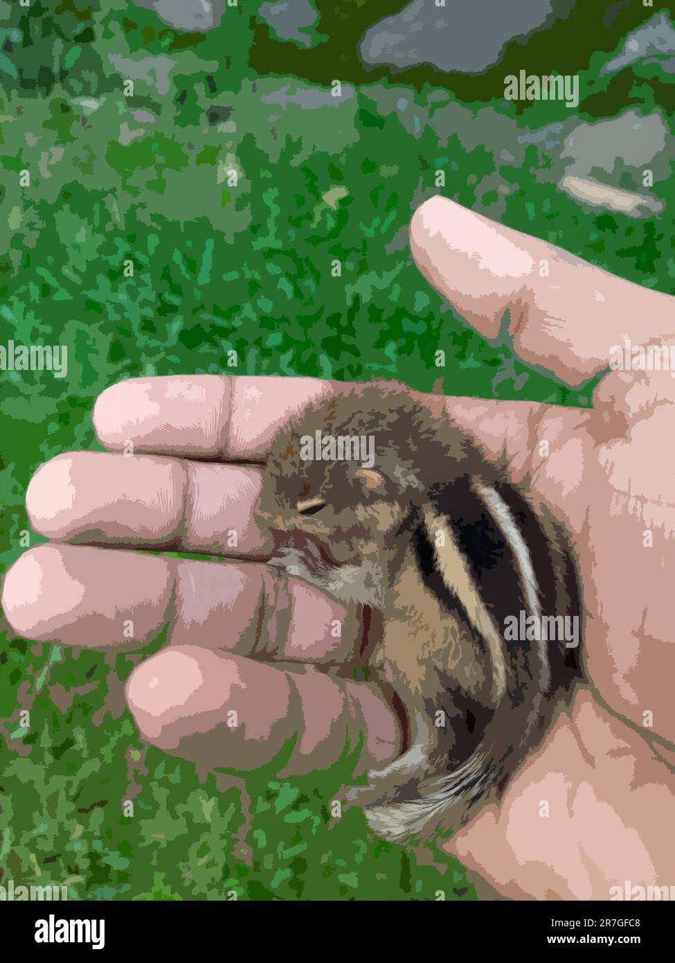 Fesselndes Eichhörnchen: Ein entzückend süßes Haustier in der Tierwelt – von der Natur inspirierte Cover-Illustration für Tierliebhaber Stockfoto