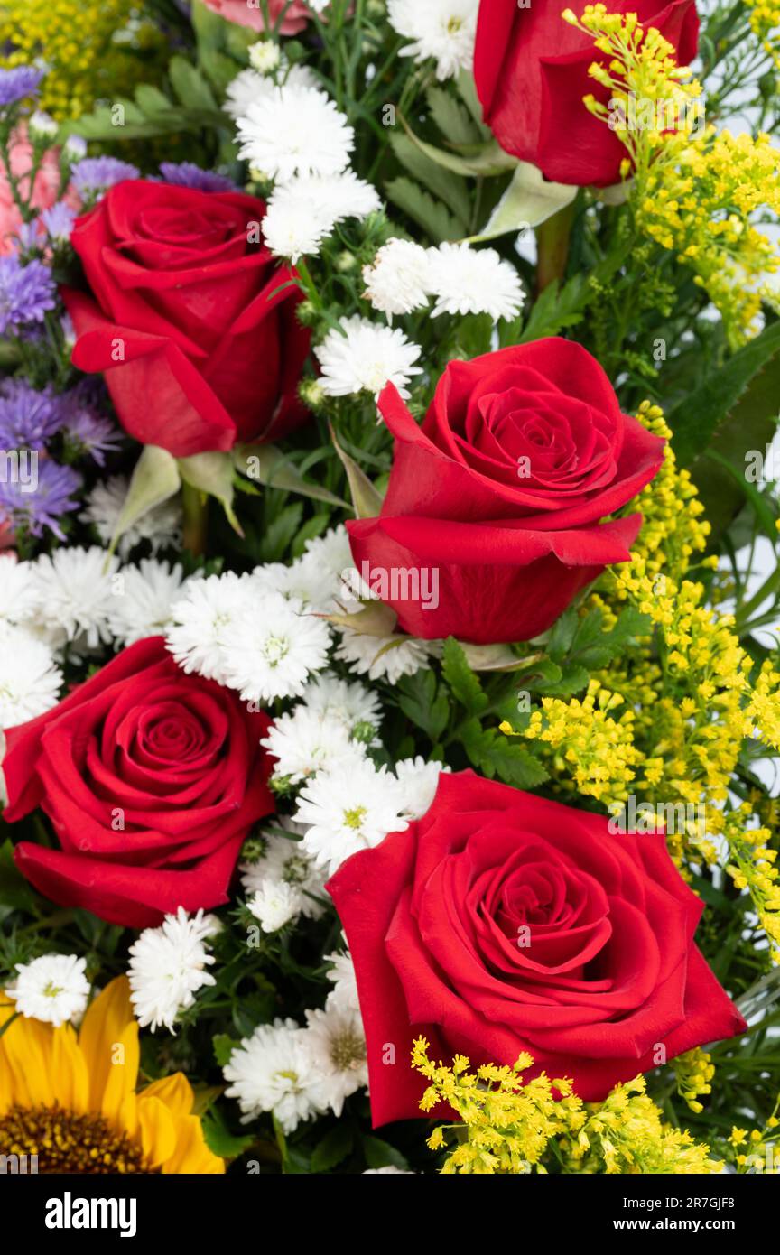 Eine Gruppe roter Rosen auf einem Bouquet-Hintergrund, Makro-Nahaufnahme Stockfoto