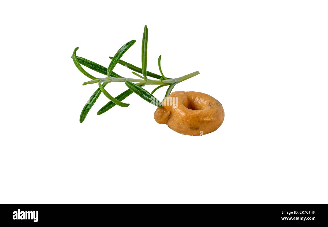 Ein einzelner Taralli-Keks mit einem Zweig Rosmarin. Über Schuss. Stockfoto