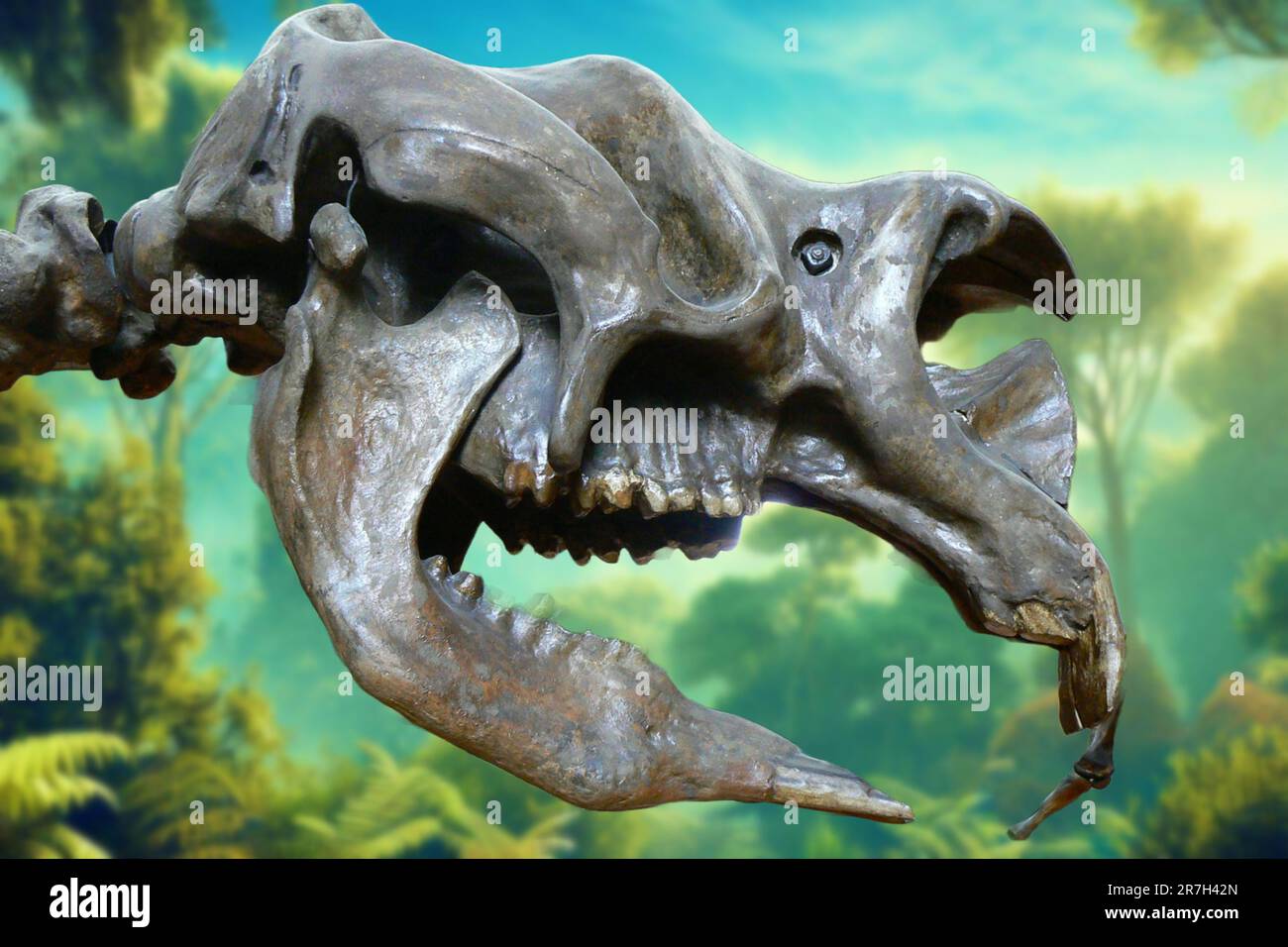 Diprotodon australis war ein Dinosaurier, der im Pleistozän Australiens lebte. Es war das größte marsupiale Säugetier, das je existierte. Stockfoto