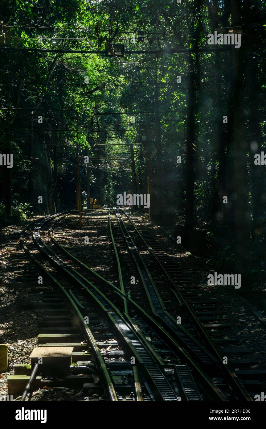 Bahngleise einer vorbeifahrenden Rundstrecke der Corcovado Rack Railway im Schatten der Bäume, zwischen einem dunklen Abschnitt der dichten Tijuca-Waldvegetation. Stockfoto