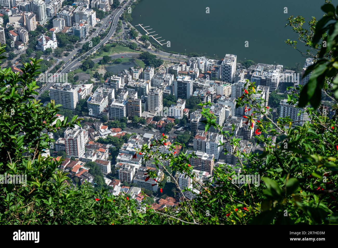 Teilweise aus der Vogelperspektive auf den Lagoa-Bezirk und die Lagune Rodrigo de Freitas, wie sie an einem Sommertag durch die grünen Äste der Corcovado-Gebirgsvegetation gesehen wurden. Stockfoto