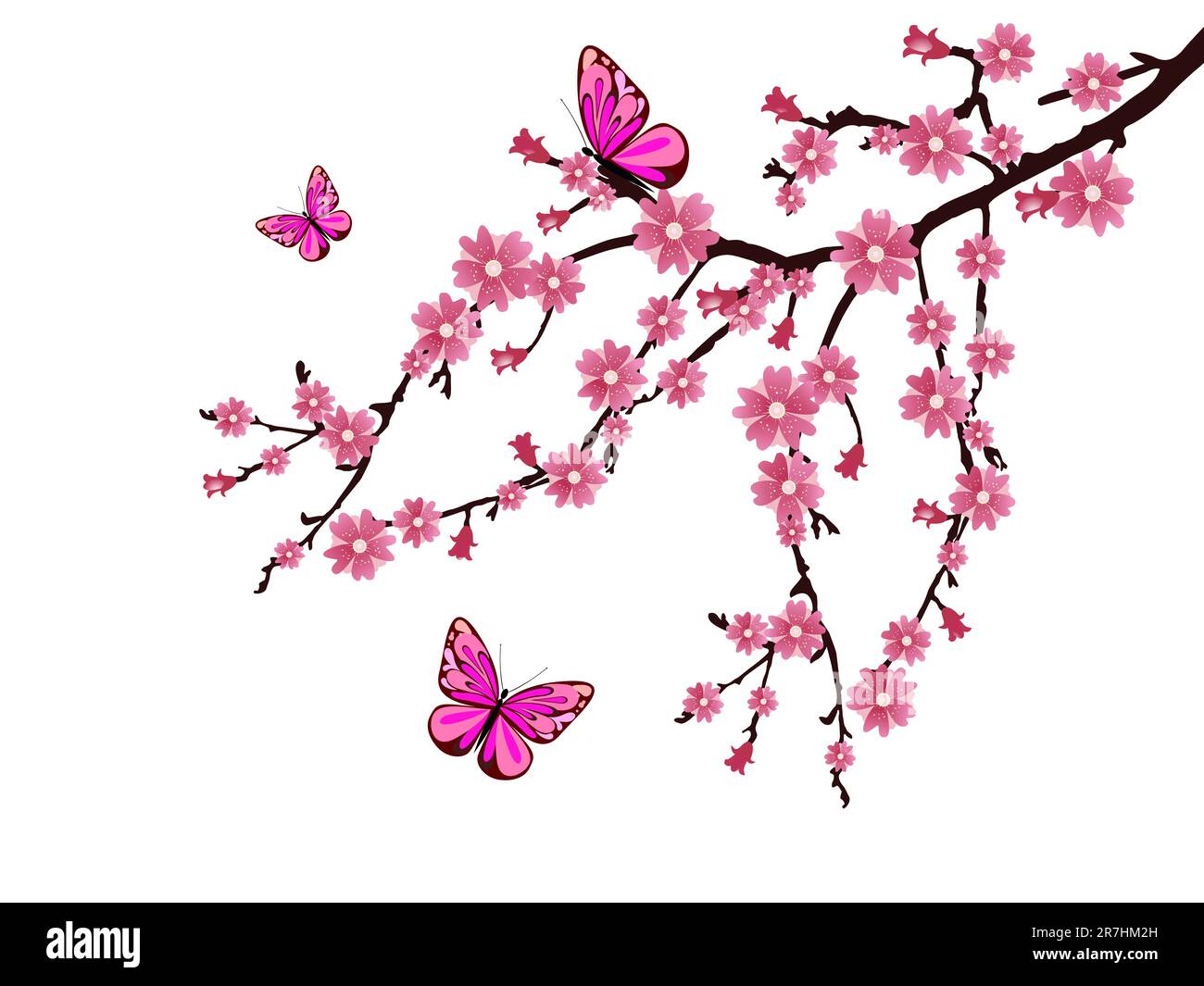 vector eps 10 Darstellung eines Zweigs mit Kirschblüten Stock Vektor