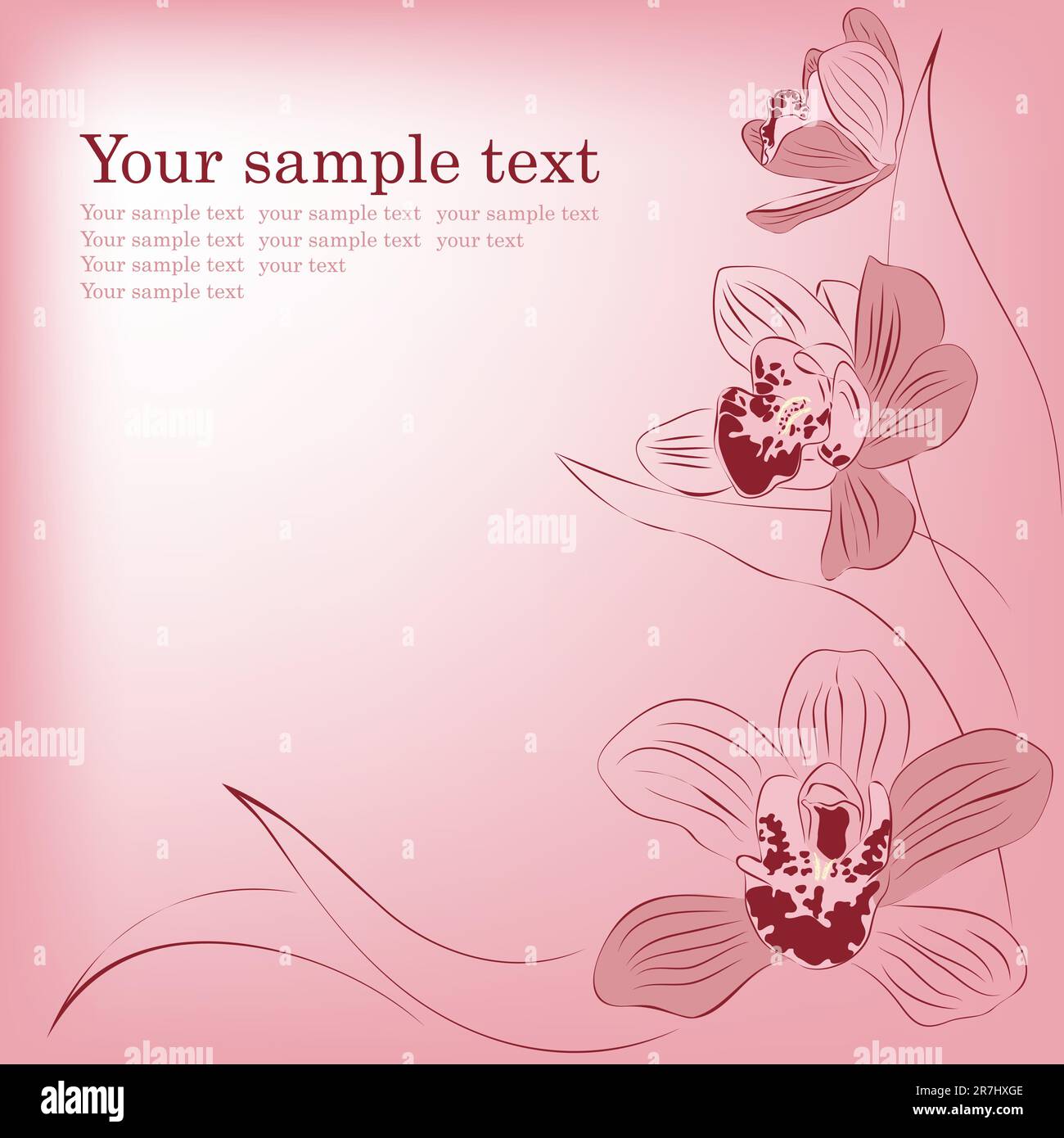 Rosa Orchideenblumen. Vektor-Grußkarte. Stock Vektor