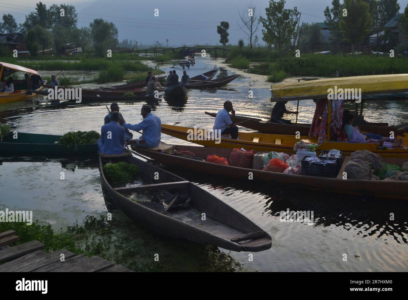 16. Juni 2023, Srinagar, Jammu und Kaschmir, Indien: Händler und Händler treffen sich auf dem schwimmenden Gemüsemarkt am Dal Lake. Die schwindelerregenden Gemüsepreise in Indien, die die Inflation hoch gehalten haben, beginnen sich abzukühlen, was dazu beiträgt, dass das Preiswachstum wieder in Richtung der Zielspanne der Zentralbanken zurückkehrt und es den politischen Entscheidungsträgern ermöglicht, die Zinssätze länger niedrig zu halten. Die Preise für Gemüse sind aufgrund der unsaisonalen Regenfälle erheblich gestiegen. Unsaisonale Regenfälle und schlechtes Wetter haben zu einem Anstieg der Gemüsepreise geführt, sagte ein Gemüseverkäufer in Kaschmir.Ein leitender Beamter des Indian Council of Agricultural Research hat dies getan Stockfoto