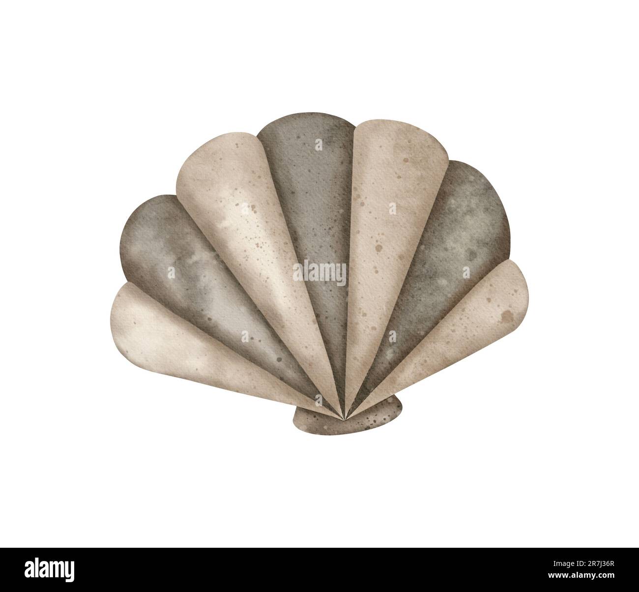 Aquarell Seashell. Perlenauster. Design mit Unterwasserelementen. Zeichnung von Muscheln, Muscheln und Hahnenschalen. Handgezeichnete Aquarelle-Illustration für Stockfoto