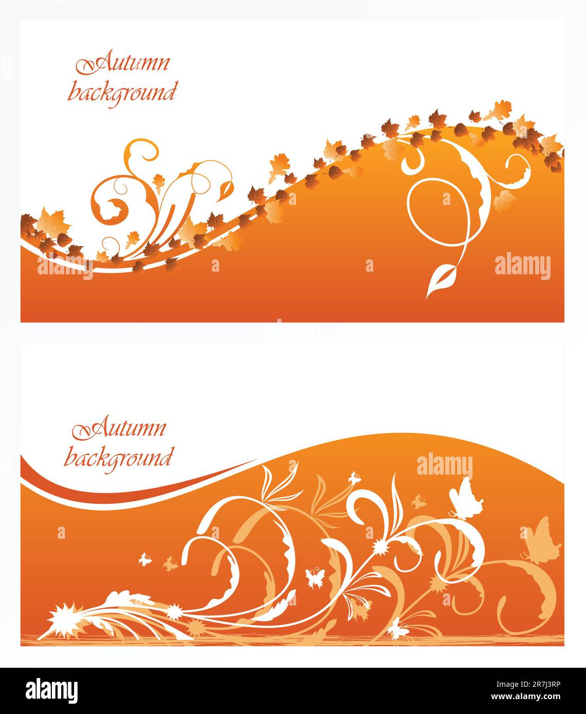 Herbstblümchenhintergrund mit Ahorn. Vektor Stock Vektor