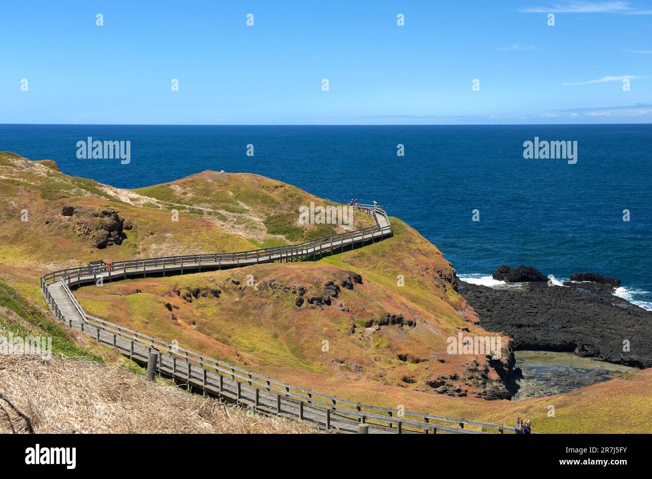 Die Küste rund um die Nobbies ist recht anfällig, so dass es einen Fußweg gibt, um sie vor den Menschenmassen der Touristen zu schützen. Phillip Island, Victoria, Australien. Stockfoto