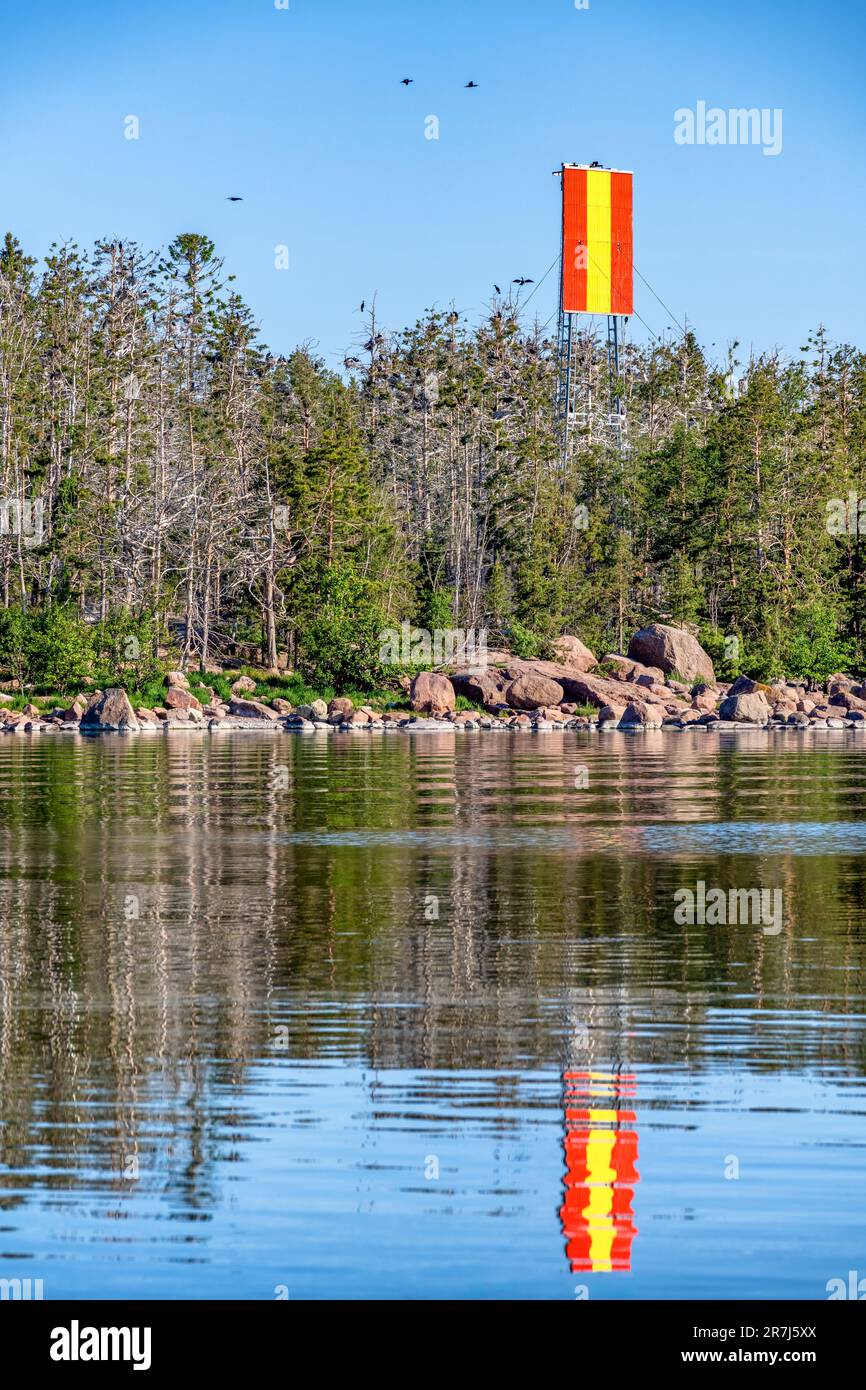 Nistplätze großer Kormoranvögel auf der Insel Lilla Rövarn, Loviisa, Finnland Stockfoto