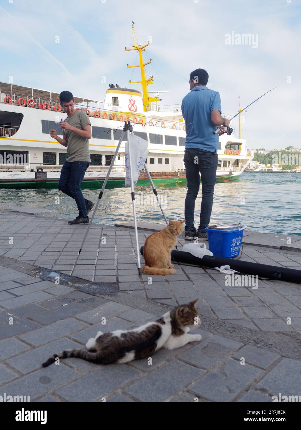 Zwei Männer fischen auf dem Goldenen Horn in Karakoy, zwei Katzen im Vordergrund und ein Passagierfährschiff dahinter. Istanbul, Türkei Stockfoto