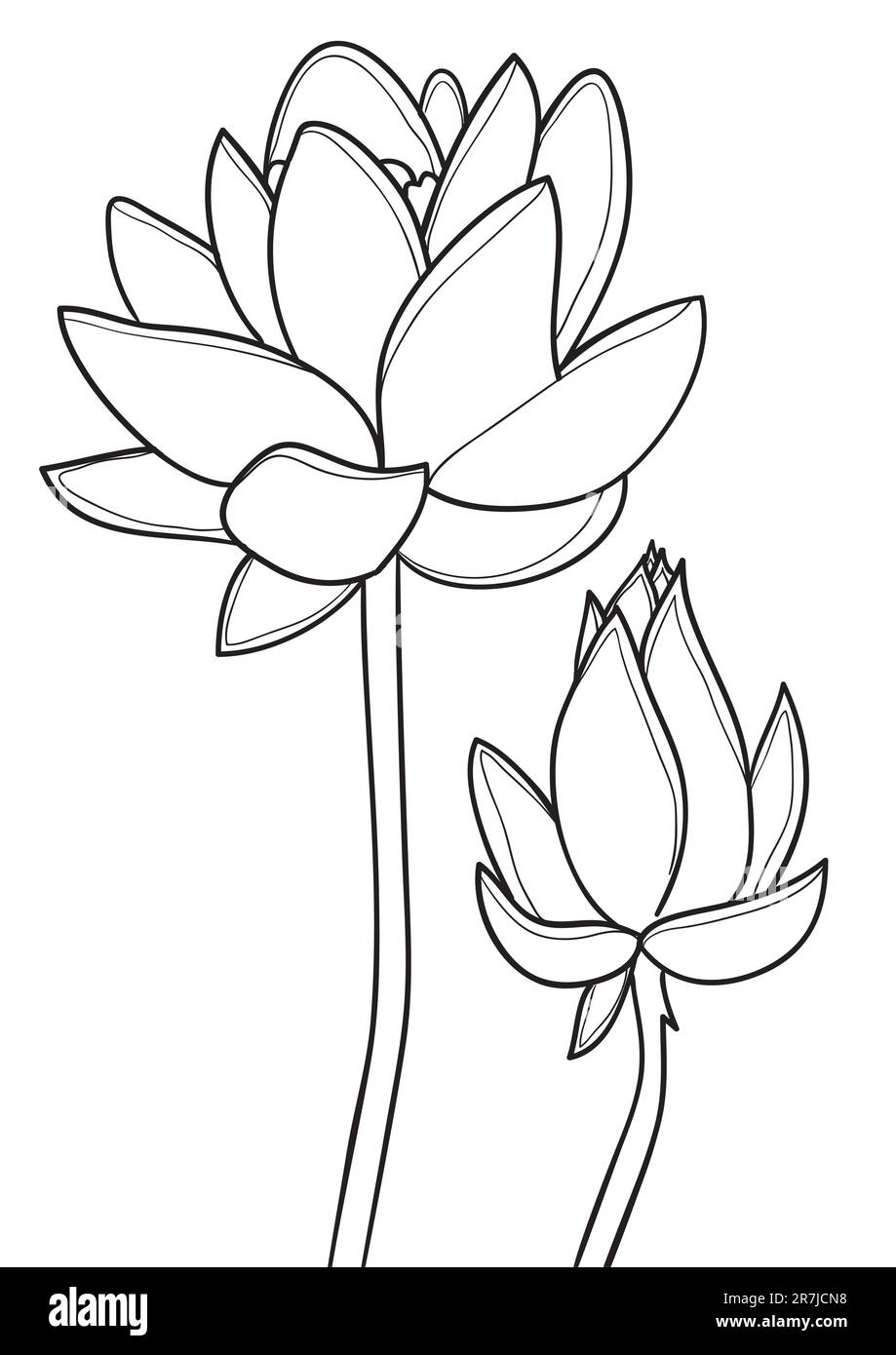 Schwarz-Weiß-Vektorbild der Lotusblume Stock Vektor