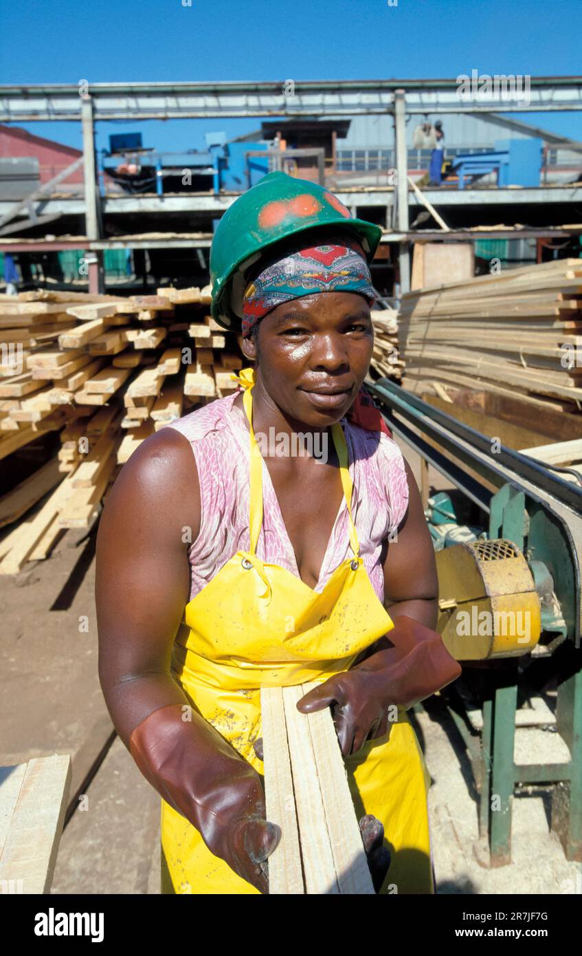 Südafrika, Mpumalanga. Mitarbeiterin von „Global Forest“, Holzindustrie. Stockfoto