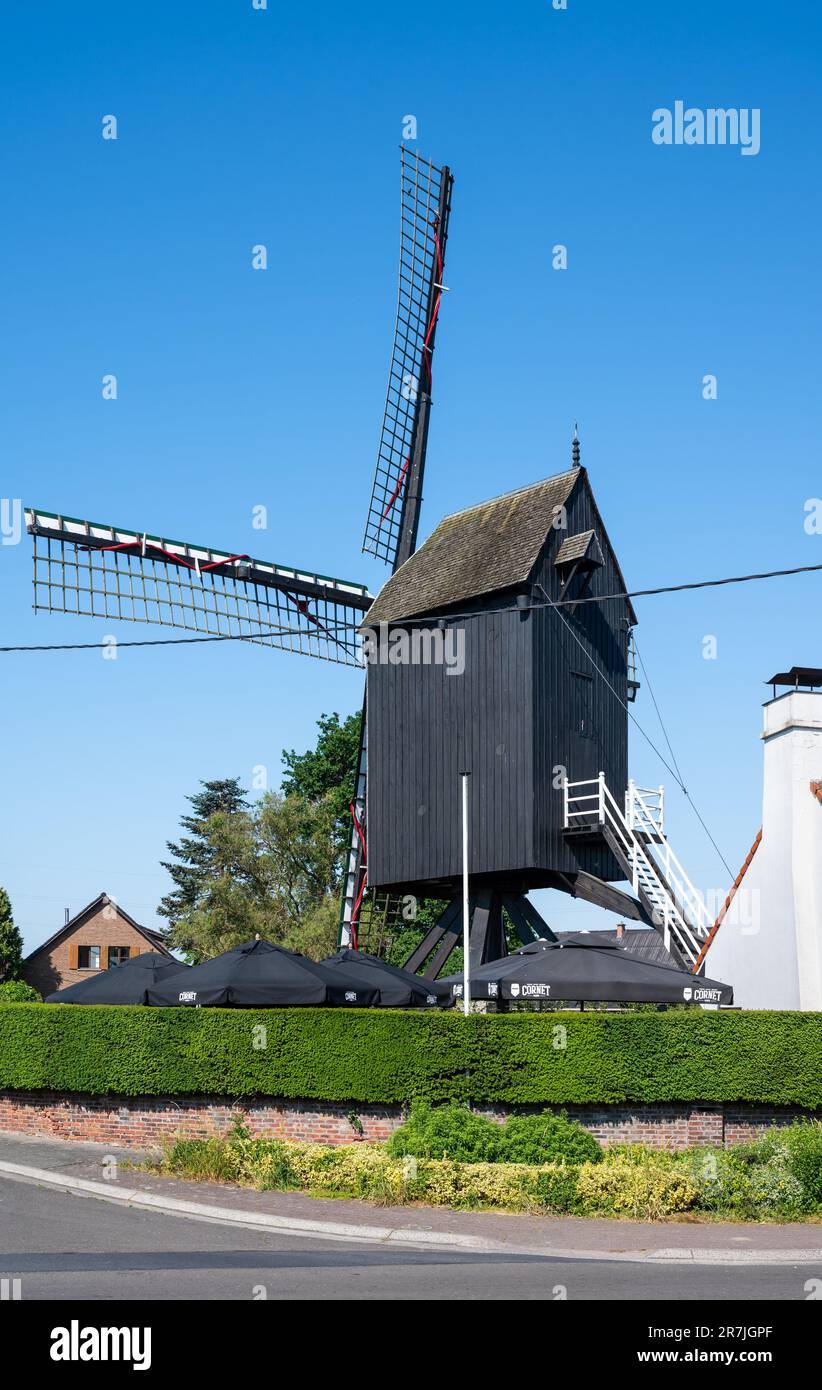 Puurs, Provinz Antwerpen, Belgien, 11. Juni 2023 - traditionelle Holzwindmühle im Dorf vor blauem Himmel Stockfoto