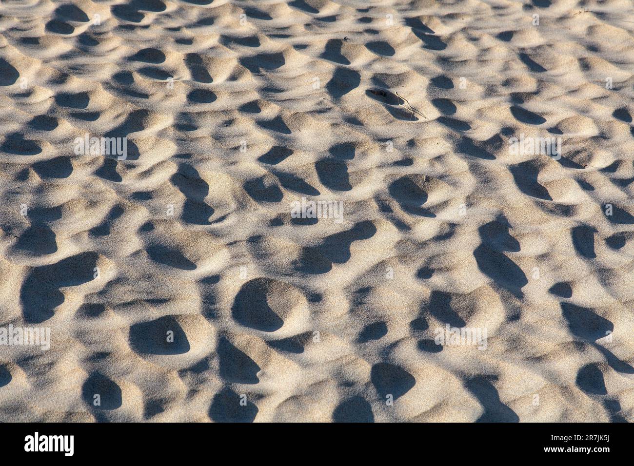 Sandtexturen, hervorgehoben von Evening Sun, Harris, Isle of Harris, Hebriden, Äußeren Hebriden, Westliche Inseln, Schottland, Vereinigtes Königreich, Großbritannien Stockfoto