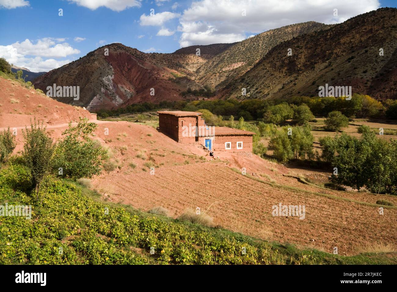 Ein kleines Feld und Haus in der Nähe von Abachkou im M'Goun-Massiv, zentralem Hohen Atlas, Marokko. Stockfoto