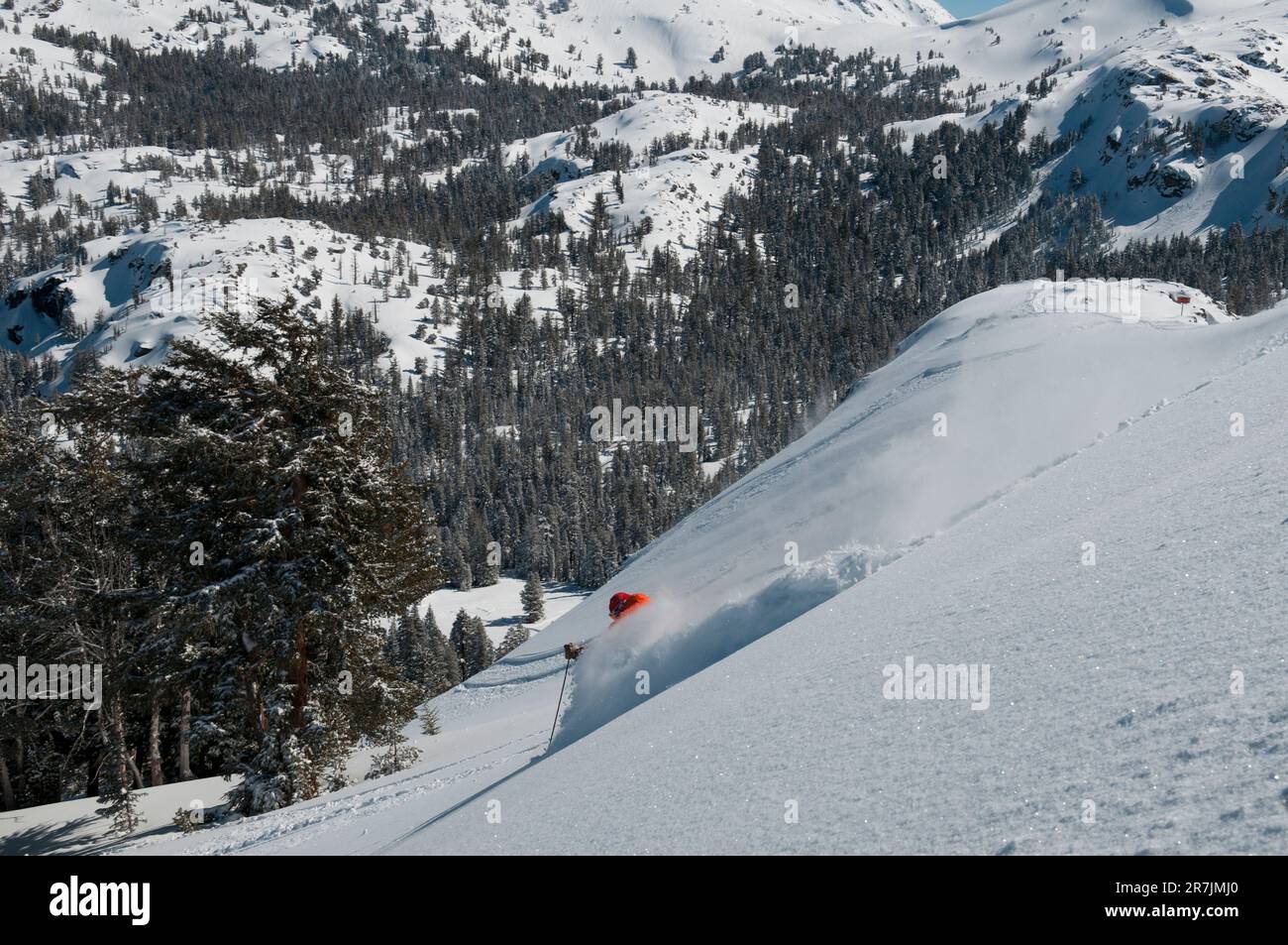 Ein männlicher Skifahrer mit einer leuchtend orangefarbenen Jacke macht an einem Pulverschnee-Tag in einem Mountain Resort eine Reihe von Pulverschnee Stockfoto