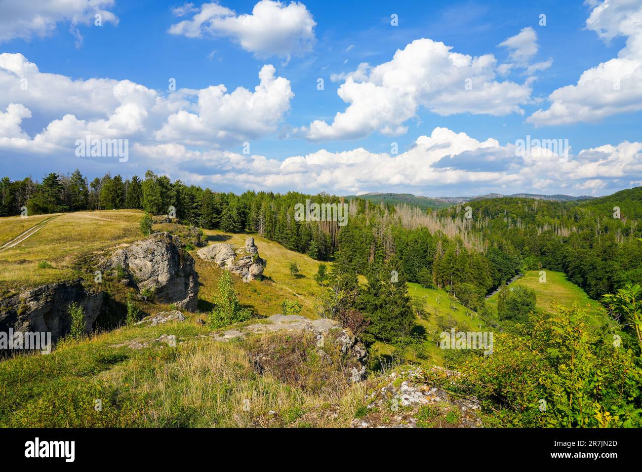 Landschaft auf dem Steinberg im Landschaftsschutzgebiet Herzberg am Harz, Niedersachsen. Blick vom Berg auf die umliegende Natur. Stockfoto