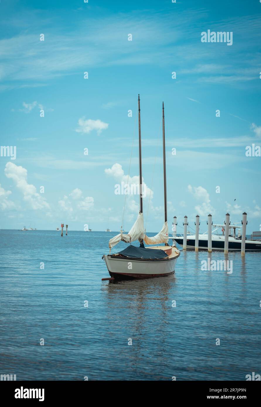 Boot im Meer, wunderschöner Tag Kokosnusshain miami Stockfoto