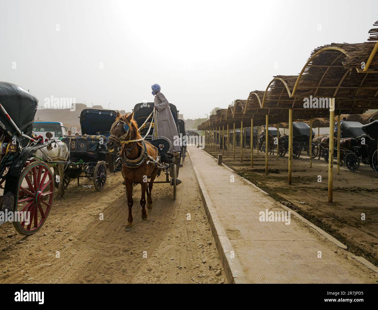 Traditionelle Pferdekutsche für Transport und Tourismus Stockfoto
